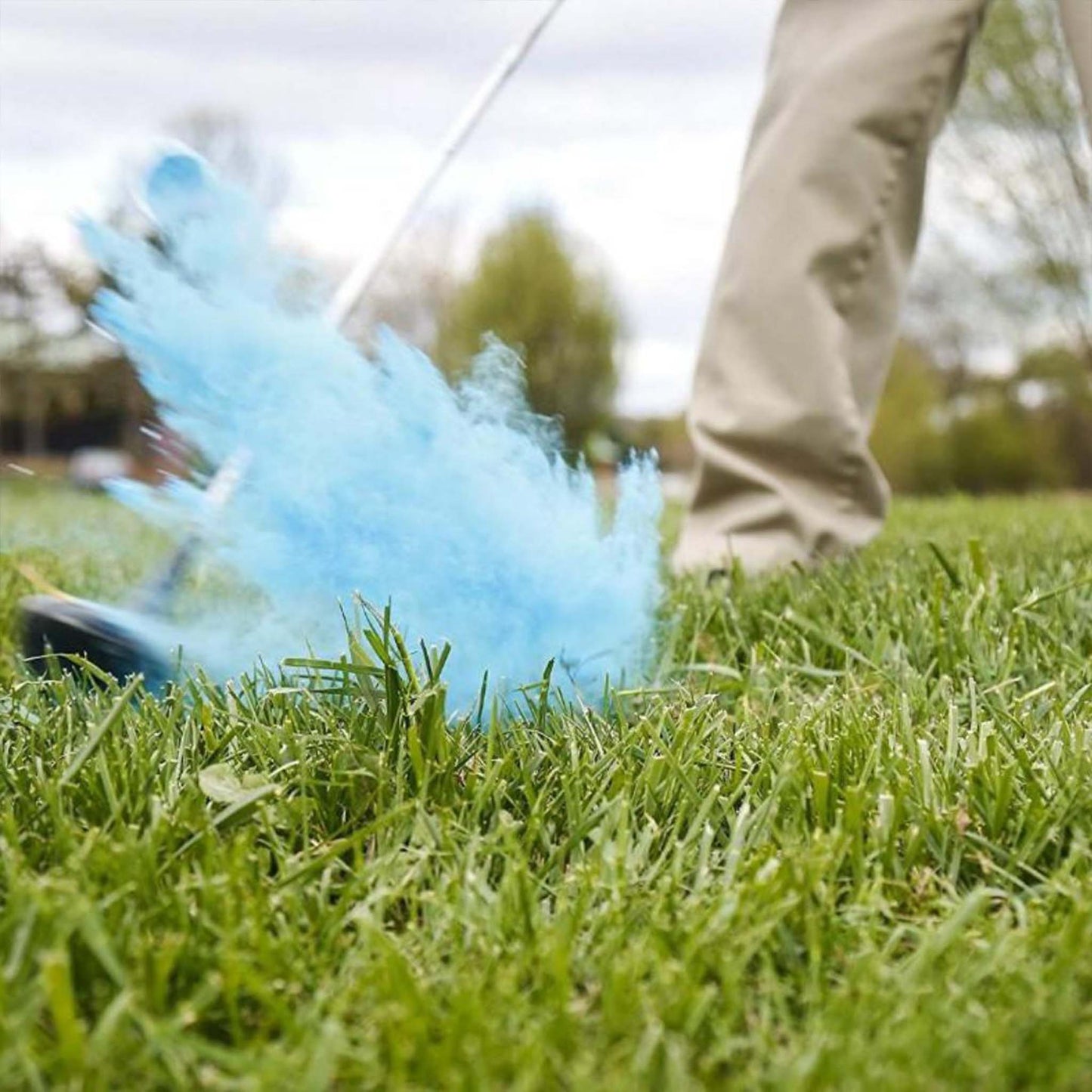 Gender Reveal Golf